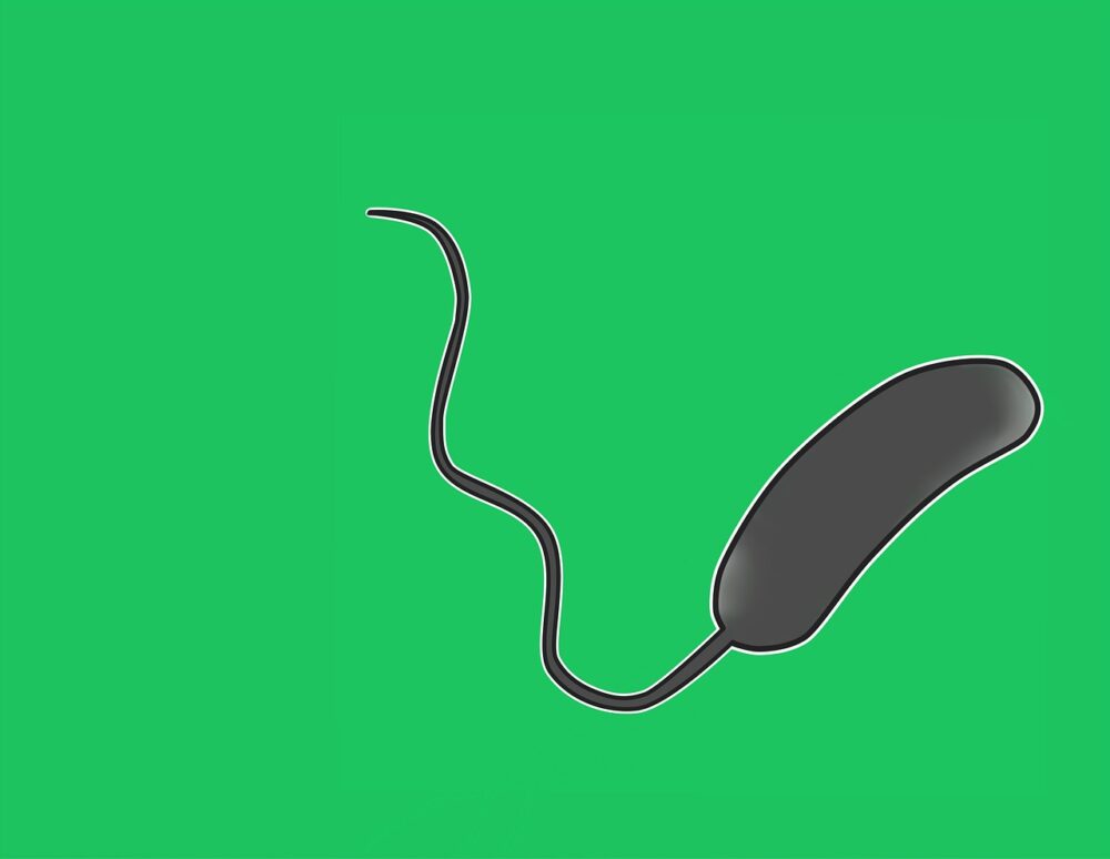 understanding-antimicrobial-resistance-to-manage-cholera-amr-insights